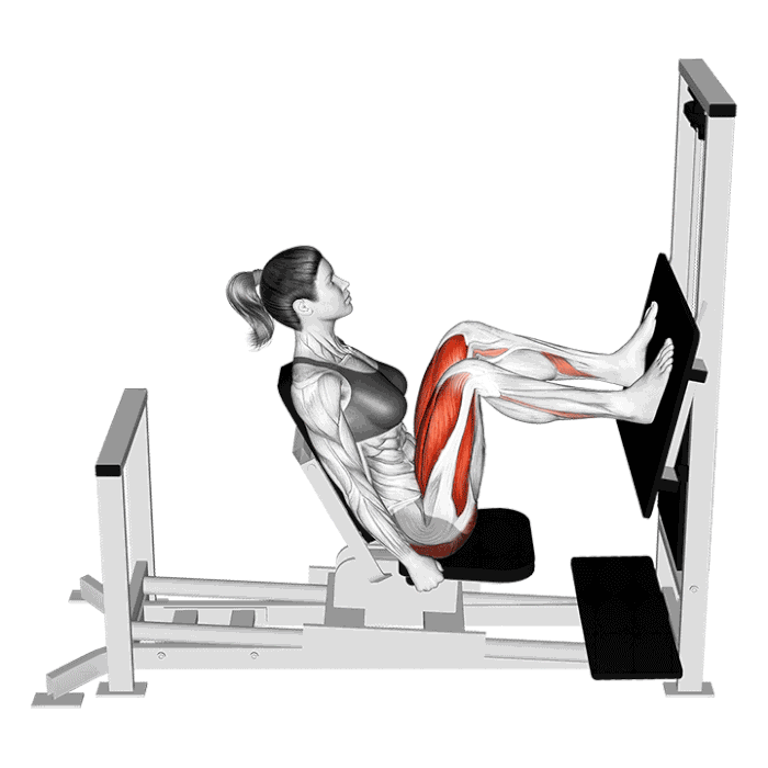 Presse à cuisses horizontale (Machine)