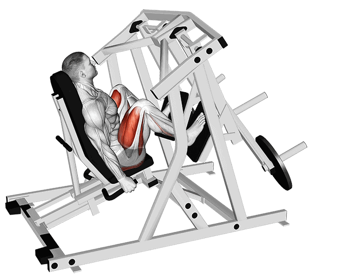 Animation Presse à cuisses iso-latérale