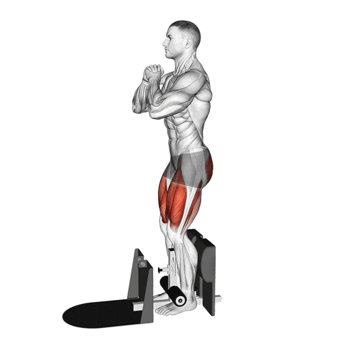 Animation Sissy Squat avec machine