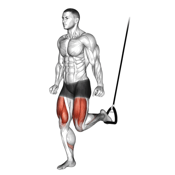 Animation Split squat avec sangles de suspension