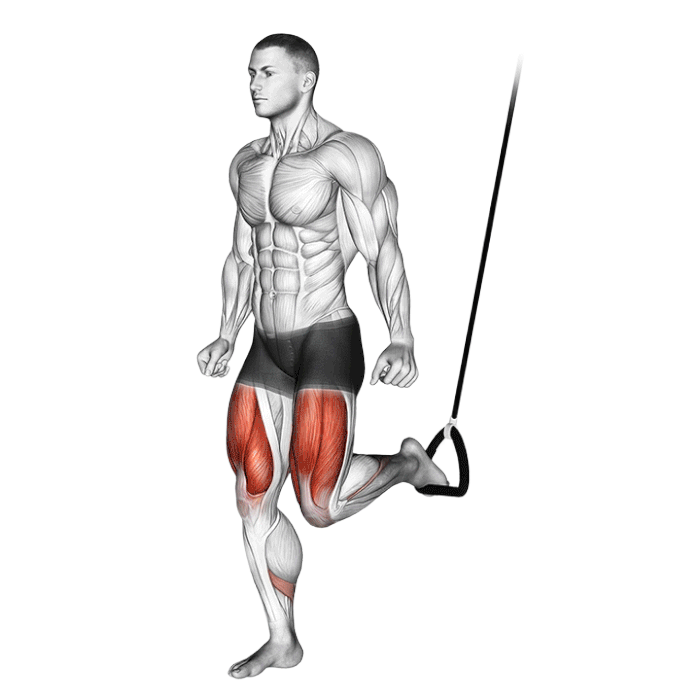 Split squat avec sangles de suspension