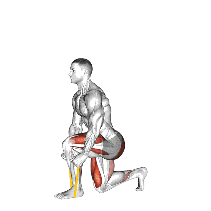 Animation Split squat (Élastique)