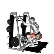 Squat a ceintrure (Machine)