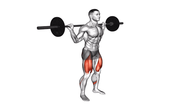 Animation Squat avec pause (Barre)