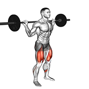 Squat avec pause (Barre)