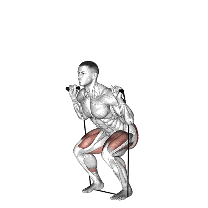 Animation Squat (Élastique)