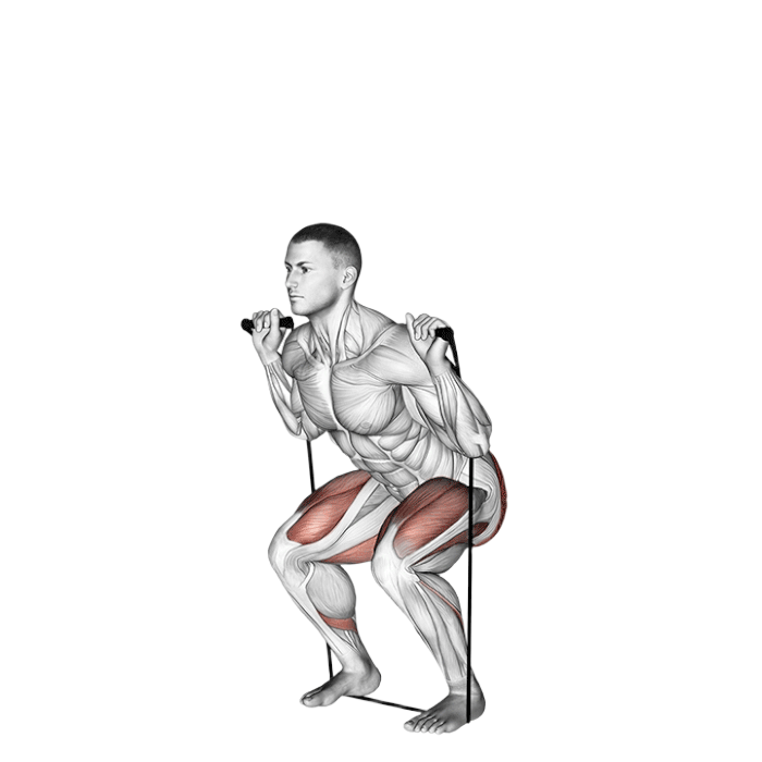 Squat (Élastique)