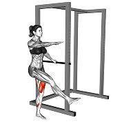 Squat pistol Assiste