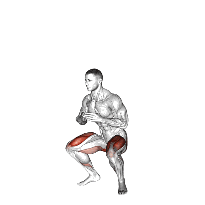 Animation Squat sauté