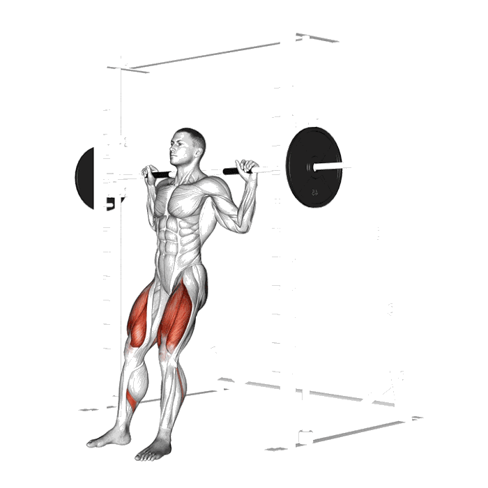 Animation Squat (Smith machine)