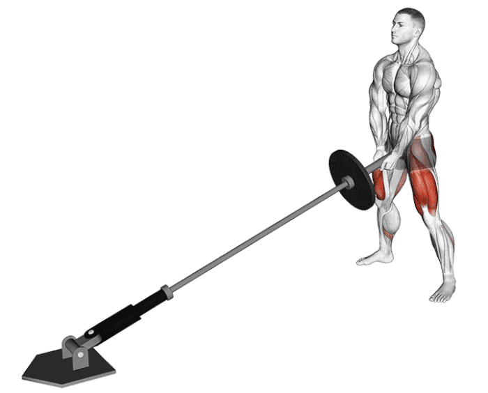 Animation Squat sumo à la landmine