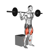 Squat sur box (Barre)