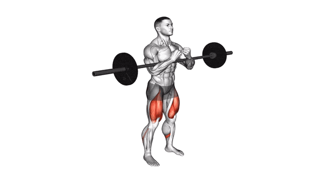 Animation Squat Zercher