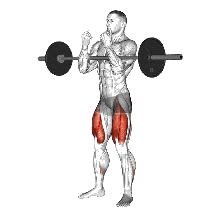 Animation Zercher squat