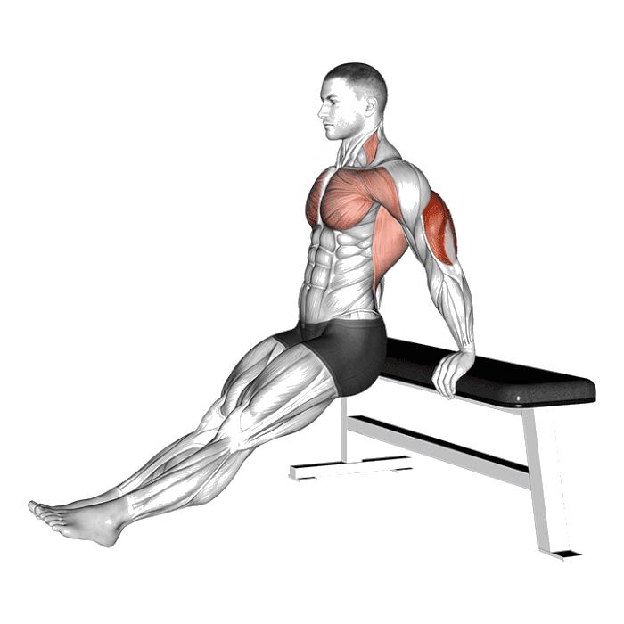 Animation Dips sur banc