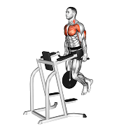 Dips triceps (Leste)