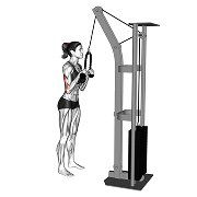 Extension triceps a la corde (Poulie)