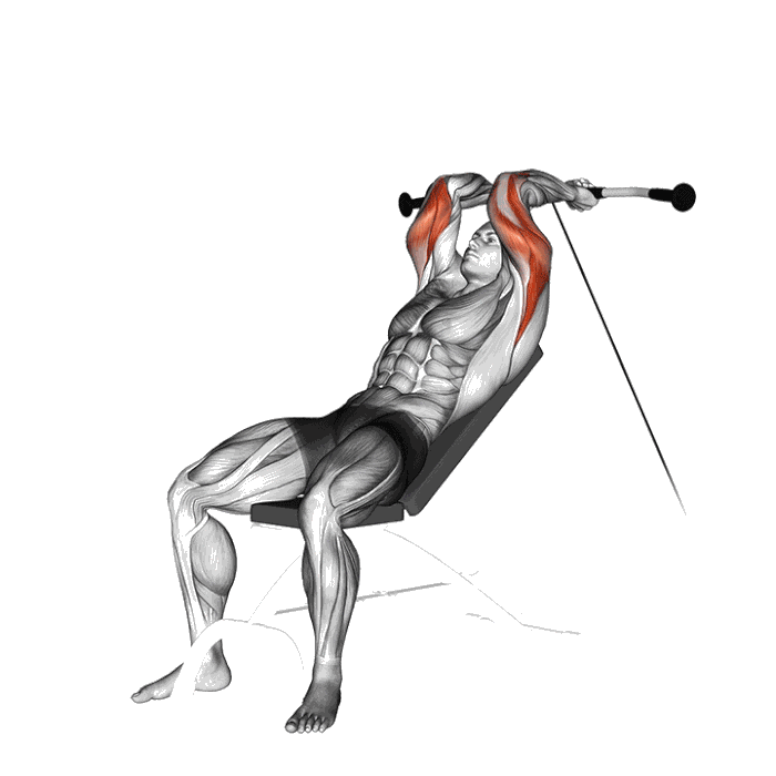 Animation Extension triceps banc incline (Poulie)