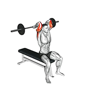 Extension triceps (Barre)