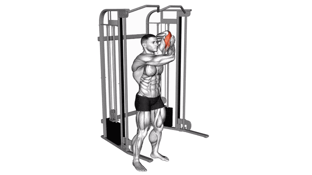 Animation Extension triceps derriere la tete unilateral (Poulie)