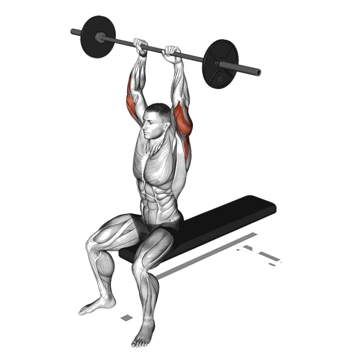 Animation Extension verticale assis (Barre)