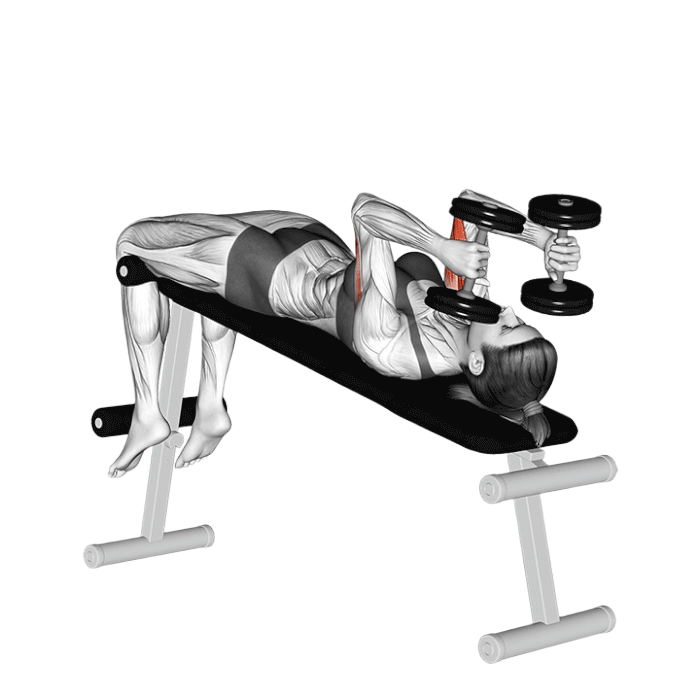 Extensions triceps décline haltères