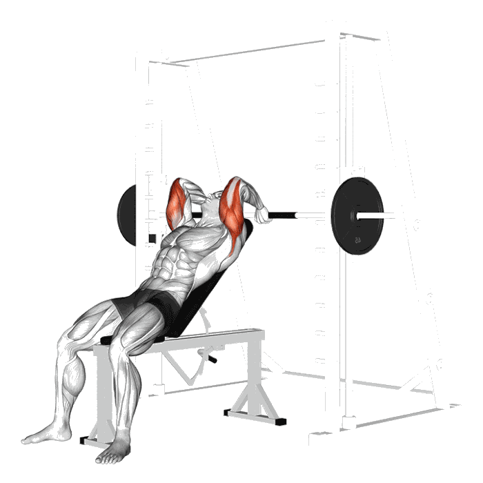 Animation Extensions triceps incline smith machine