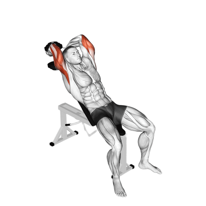 Extensions verticales à deux mains avec haltère