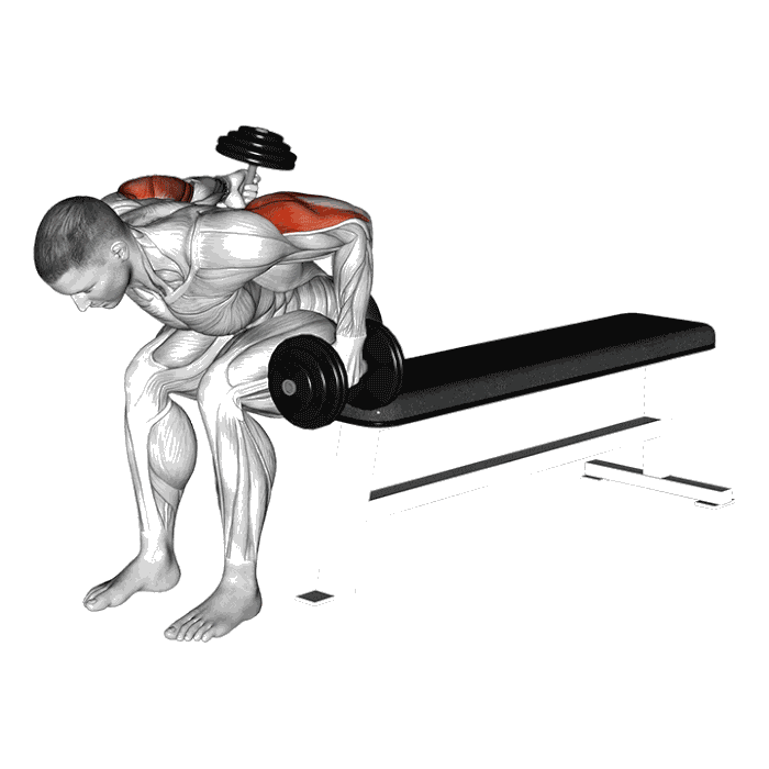 Animation Kickback alterné assis