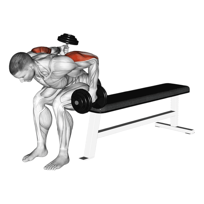 Kickback alterné assis