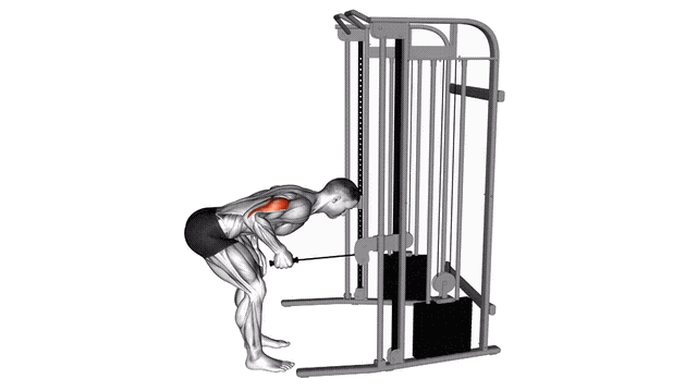Animation Kickback triceps (Poulie)