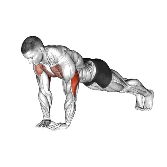 Animation Pompe diamant