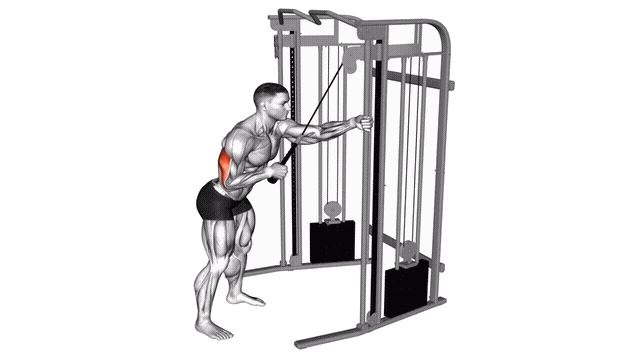 Animation Tirage triceps unilateral corde (Poulie)