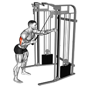 Tirage triceps unilateral corde (Poulie)